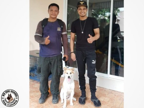 สุนัขรับจ้างถ่ายทำภาพยนต์ ควบคุมดูแล ฝึกสอนระดับมืออาชีพ